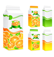 Five packages orange juice vector image
