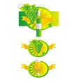 White wine vector image