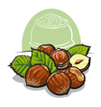 Hazelnuts vector image