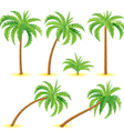 Coconut palms vector image