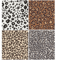 Animal skin pattern Animal skin pattern vector image