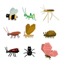 Collection of insects cartoon vector image