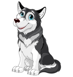 Alaskan Malamute vector image