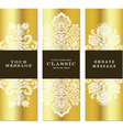 Gold frame set vector image