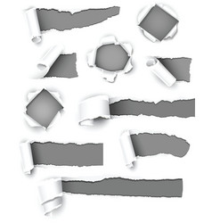 Gray paper vector image