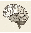 Human brain vector image