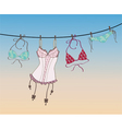 Lingerie vector image