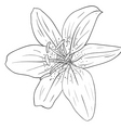 Floral elements hand drawn vector image