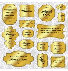 Gold wedding label set vector image