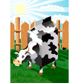 Cow vector image