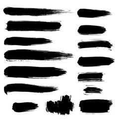 Brush stroke vector image