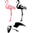 Birds vector image