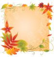 Background with colorful autumn leaves vector image
