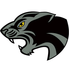 Head jaguar vector image