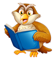 Owl reading vector image