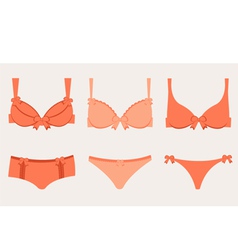 Lingerie collection vector image