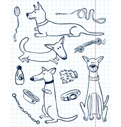 Dogs set vector image
