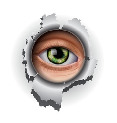 Interested Eye looking in hole Interested Eye looking in hole vector image