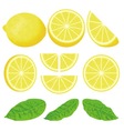 Lemon vector image