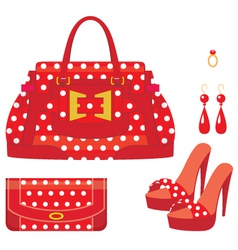 Female bag purse and shoes on a heel vector image