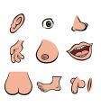 Anatomy vector image