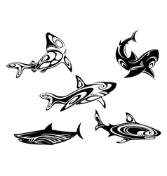 Shark tattoos vector image