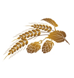 Hops and wheat vector image