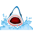 Angry Shark cartoon vector image