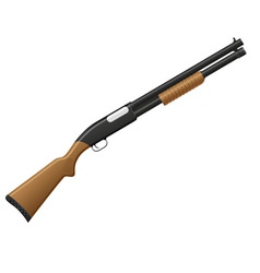 Shotgun 01 vector image