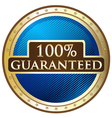 Hundred Percent Guaranteed vector image
