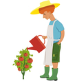 Watering tomatoes vector image