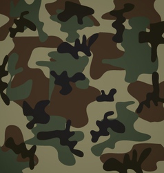 Camouflage pattern vector image