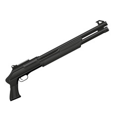 Shotgun 04 vector image