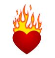 Flaming heart vector image