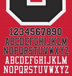 Stitched Sports Numbers and Letters vector image