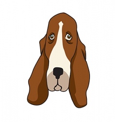 Basset vector image