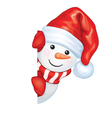 Snowman vector image