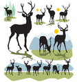 Deer silhouettes vector image