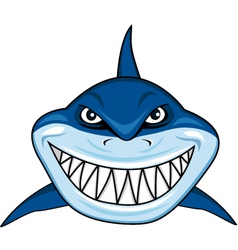 Smiling shark cartoon vector image