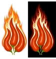 Hot chili pepper vector image
