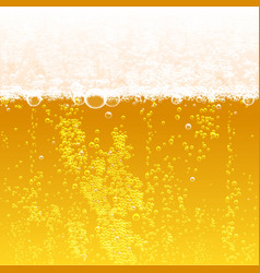 Beer background vector image
