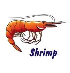 Cartoon shrimp icon or emblem vector image
