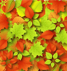 Autumn Background with Leaves vector image