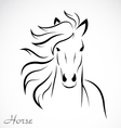 Horse vector image