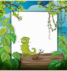 Chameleon and a white board vector image