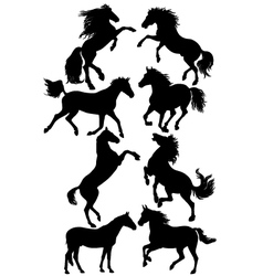 Silhouettes of horses vector image