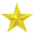 Golden star vector image