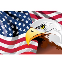 Flag illustration vector image