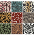 Animal skin seamless swatch vector image