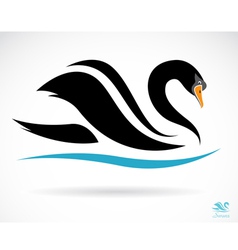 Swans vector image